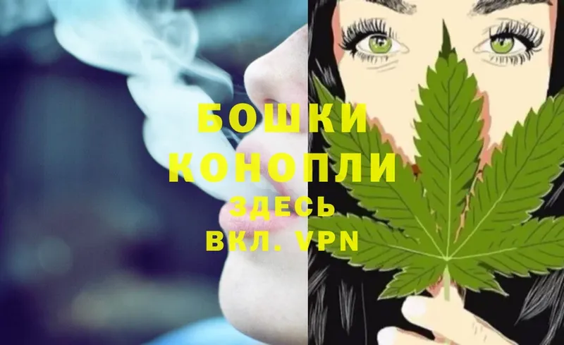 это клад  Луга  Бошки Шишки THC 21% 